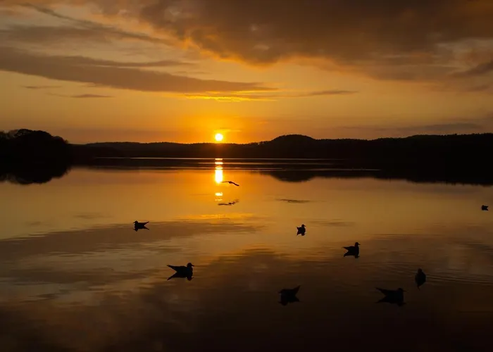 Appartement Mit Seeblick Und Balkon *