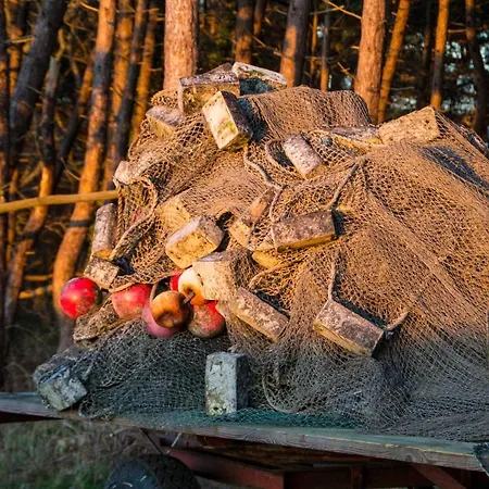 Mit Seeblick Und Balkon דירה *
